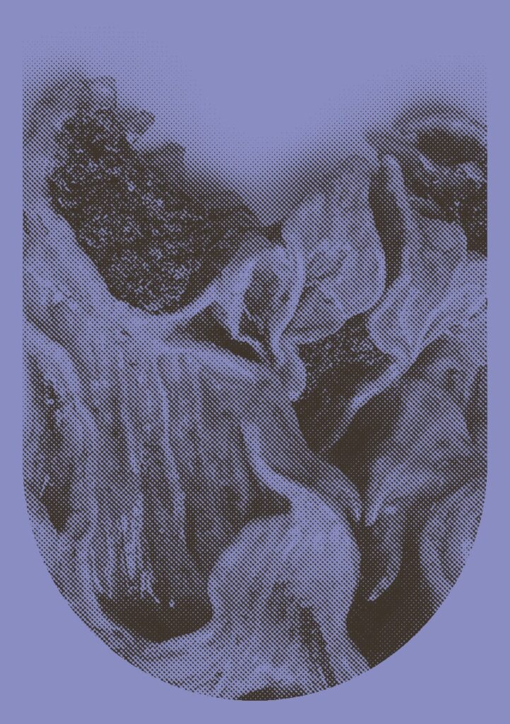 Sediment