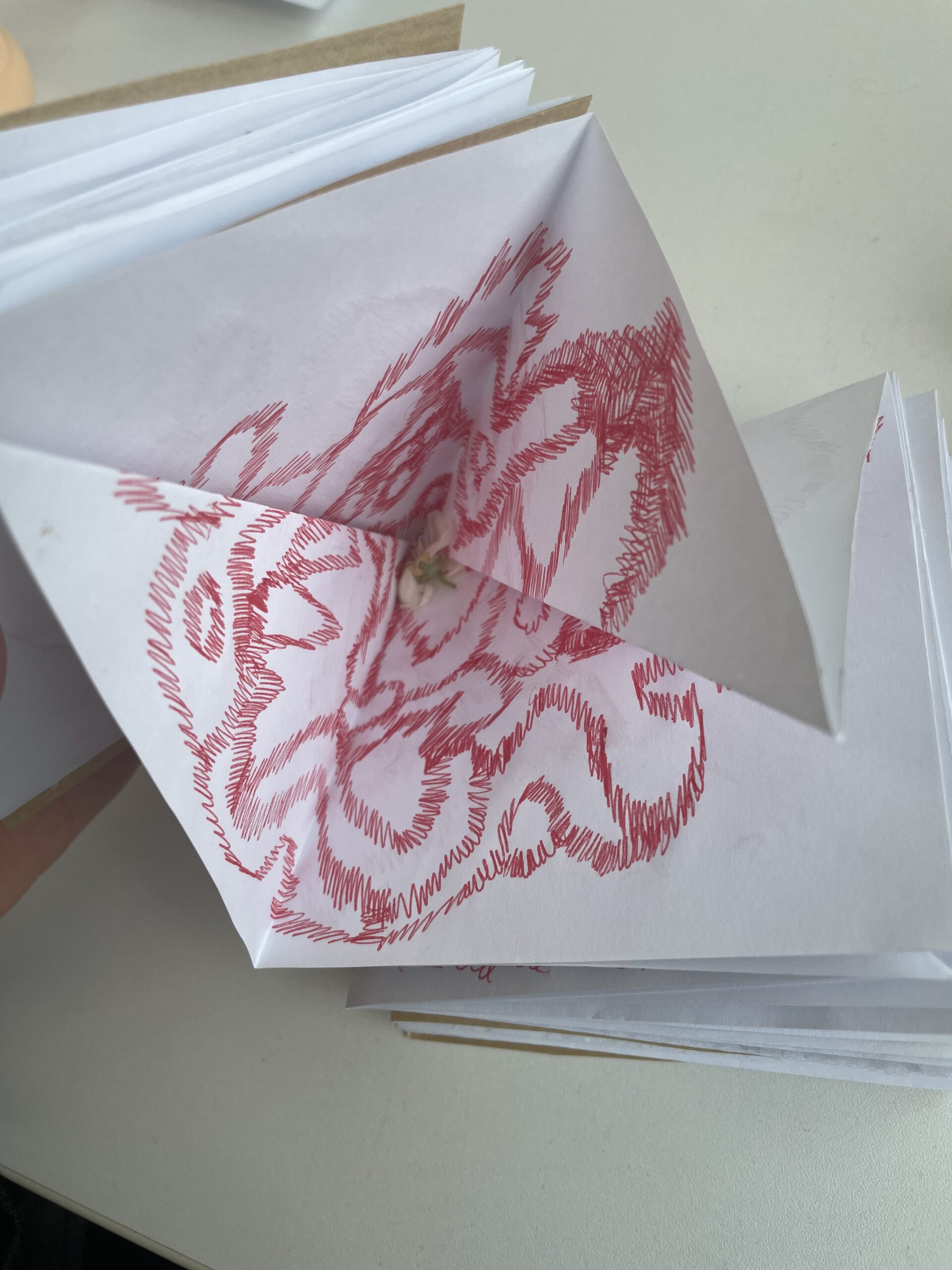 AKT III – Erin Honeycutt, Cru Encarnação und Saverio Cantoni: The Secret Life of Ekphrasis